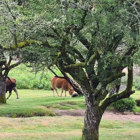 Beautiful Detached With Private Pool, Fibre Wi-fi, Garden, Games & Bbq